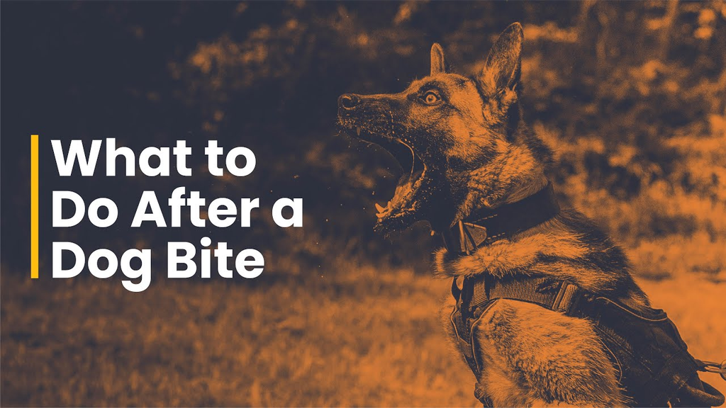 dog bite lawsuit